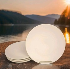 Sasaki Colorstone Matte Pink Dinner Plate Vignelli 1986 10.5