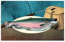 Maine Lake Trout Fishing Net Basket Rod Sports Vintage Chrome Postcard picture