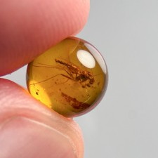 FLY SPHERE 7.5mm bead Burmese / Burmite amber fossil bead / 100% genuine picture
