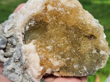 Honey Calcite Crystal Fossil Clams Set of 5 Florida Rucks Pit LOT UV Dogtooth picture