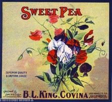 Covina California Sweet Pea Flowers Orange Citrus Fruit Crate Label Art Print picture