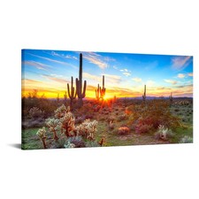 Sechars Arizona Sonoran Desert Wall Art Botanical Cactus In Sunset Landscape picture