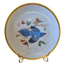 Hutschenreuther Selb Bavaria Blue Jay Audubon Collector Plate Gold Gilt Rim 8
