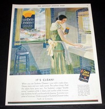 1931 OLD MAGAZINE PRINT AD, SUNBRIGHT CLEANSER & QUICK ARROW SOAP FLAKES, CLEAN picture