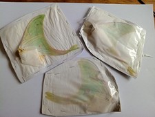3 Actias Selene A1- Vietnam.SEE PHOTO. Limited number.. picture