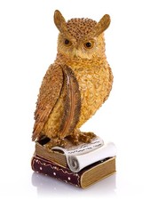 Keren Kopal Large Limited Edition Wise Owl Trinket box with Austrian Crystals picture