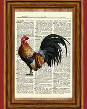 Rooster Dictionary Art Print Book Page Picture Poster Vintage Kitchen Wall Decor picture