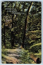 1912 Lover's Lane In The Ravine Forest Dirt Pathway Waukegan Illinois Postcard picture