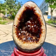 4.04LB TOP Natural citrine geode quartz cluster crystal Dinosaur egg healing picture