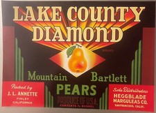 Antique 1940s Lake County Diamond Crate Label San Francisco, CA picture