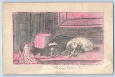 c1905 Two Cute Dogs Hand Drawn Art Animals Posted Antique Postcard picture