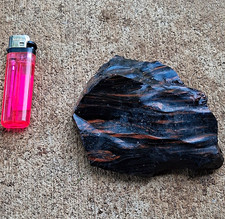 Polished Black & Brown Petrified Wood Slab Fossil Specimen Display Piece picture