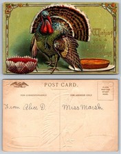 Vintage Embossed Thanksgiving Turkey Postcard, Cranberry & Pie, Miss Marsh picture