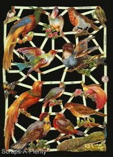 German Embossed Vintage Style Scrap Die Cut - Beautiful Colorful Birds EF7246 picture