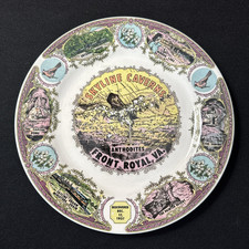 Vintage Skyline Caverns Front Royal VA Souvenir Plate Anthodites Capitol Dome picture