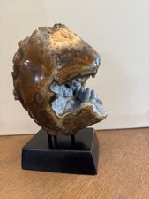 Canyon Rim Thunder Egg - Free Form Polished - Unique Tube Formation - Agate picture