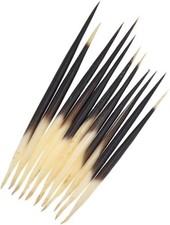 10Pcs Black Porcupine Quills Hair Stick Indian Crafts Accessories Fishing Buoy D picture
