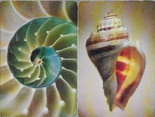 Vintage Pair Companion Single Swap Playing Cards - Nautilus Conch Shell Set picture