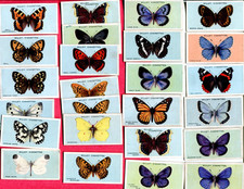 1927 W. D. & H. O. WILLS BRITISH BUTTERFLIES 25 TOBACCO CARD LOT picture