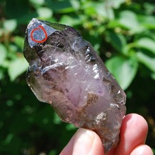 DT ET Elestial Enhydro Amethyst Quartz Crystal Scepter 3.2in 113g Zimbabwe - Sto picture