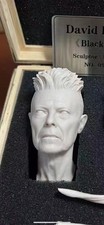 1/6 mayo David Bowie picture