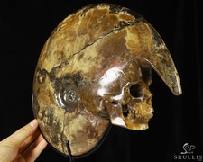 Dec 22, 2014 ACSAD (A Crystal Skull a Day) - The Guardian - Ammonite Fossil picture