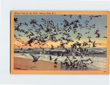 Postcard Dinner Time for the Gulls Asbury Park New Jersey USA picture
