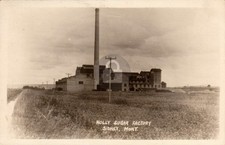 Sidney MT Montana 1924 Holly Sugar Factory Beet Farming RPPC Photo Postcard COPY picture