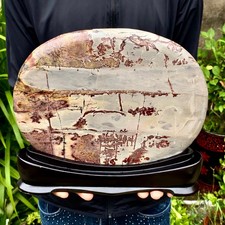 6.26LB Beautiful Natural Chinese Dendritic Limestone Picture Stone Guohua-Rare picture