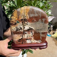 5.5LB Beautiful Natural Chinese Dendritic Limestone Picture Stone Guohua - Rare picture