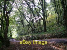 Photo 6x4 Near Venn Mill Bidlake Taken from almost the same spot as [[249 c2006 picture