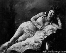 Circus Tattooed Lady 