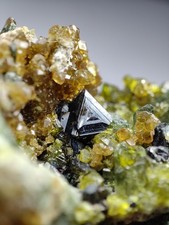 Magnetite Crystal With Vesuvianite &  Diopside Crystals on Matrix_A Nice Combo picture