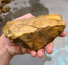 RARE 1.55 lb Beautiful Brecciated Jasper-Agate Rough From Utah picture