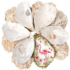 30Pcs 5-6 Inch Concave Large Oyster Shells for Crafts | Cleaned Natural Oyster S picture