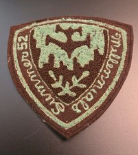 Vintage Boy Scouts Of America Summer Camp Shield Shaped Patch picture