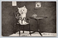 Vintage 1907 RPPC 