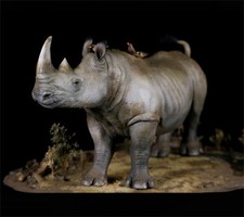 Mr.Nature The Last Male Northern White Rhino Sudan Animal Sculpture Statue New picture