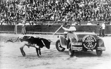 In an arena bullfighter wheel a car fights bull Valencia Spain- 1932 Old Photo picture
