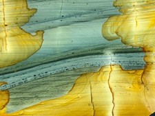 Beautiful Old Stock Owyhee Succor Creek Picture Jasper Slab, Lot#207 picture