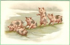 c.1900 A & M B postcard “Family of pink & black Pigs playing in a field” picture