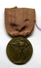 WW I Medal of Merit for Volunteers (For the Italian-Austrian War 1915-1918) picture