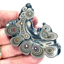 DVH Mich Fordite Specimen I/2 Donut Buck Hole Polished Face Chv Frd Jp (6846) picture