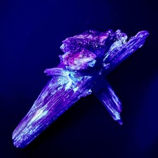 Rare Blue Kyanite Crystal Cross Bladed Cluster Brazil UV Fluorescent Stand 360g picture