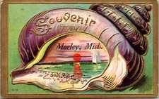 Postcard Seashell Ocean Scene Souvenir From Morley, Michigan picture