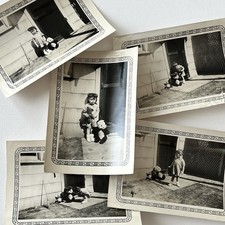 Vintage Snapshot Photograph Adorable Little Boy Putting Hat On Panda Bear Sweet picture