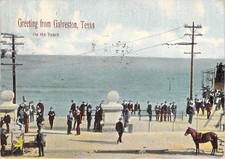 On The Beach, Galveston, Texas, Posted 1909 picture