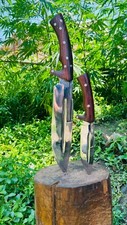 EGKH-11 Inch Hand Forged Custom Viking knife-Seax Handmade Hunting Knife picture