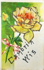 1911 Greetings Postcard ~ Greetings From Cambria, Wisconsin ~ #-6826 picture