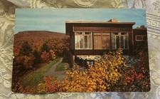 Vintage Postcard Foliage Skyland Dining Room Skyline Drive Shenandoah Park VA picture